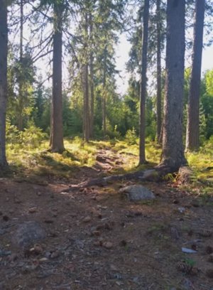 №44 Насыщение энергией