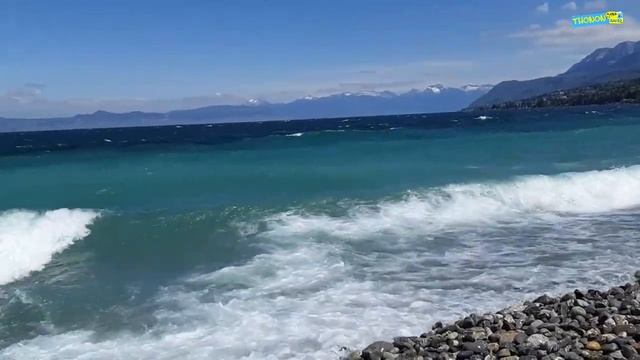 Plage d'Amphion смотреть онлайн