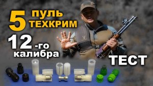 5 пуль от ТЕХКРИМ, 12 калибр. Тестовый отстрел. Ружьё РЫСЬ. Пули: Легенда-М, УНО 35/40, Ленинградка