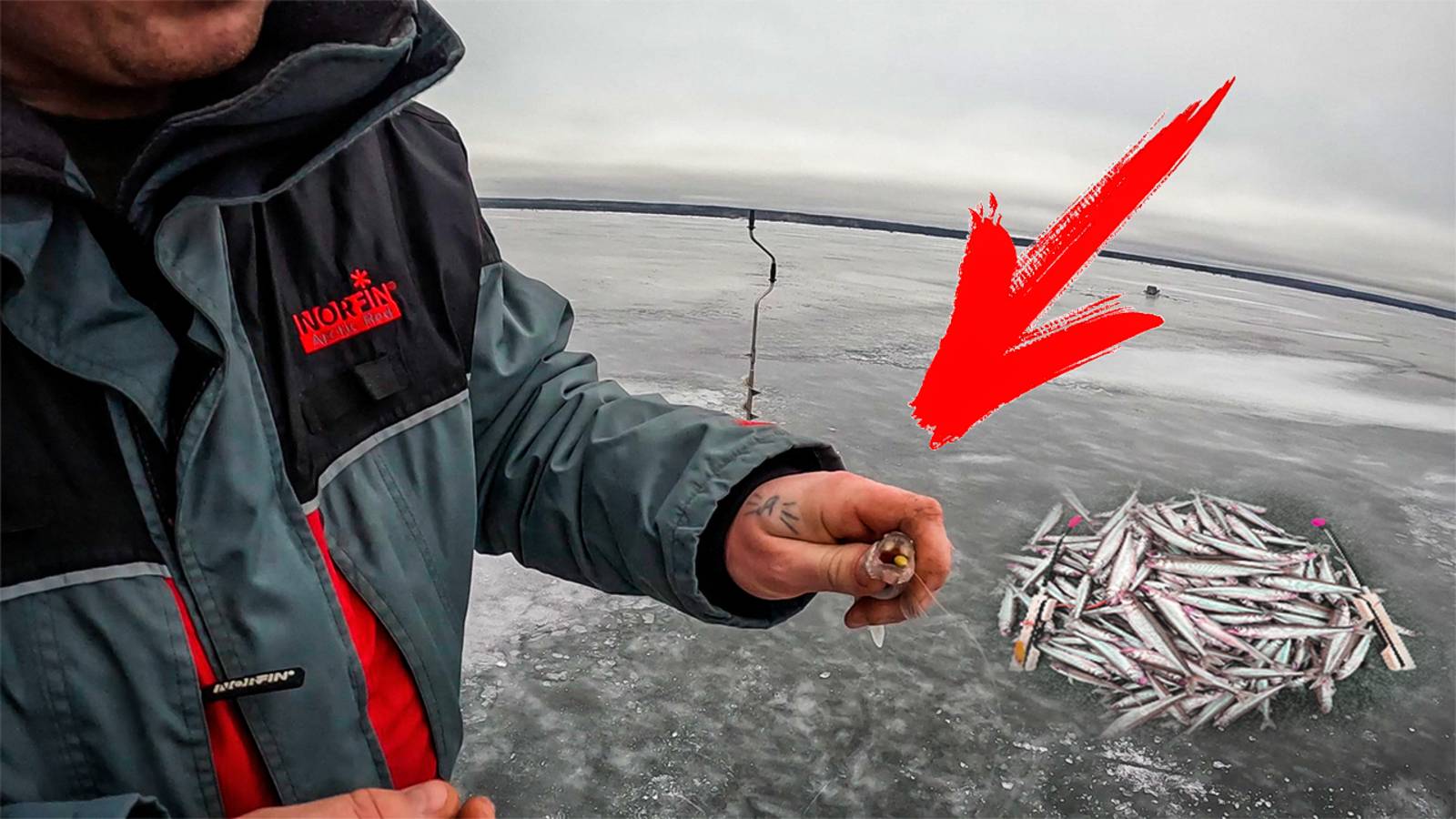 В ЭТО ТРУДНО ПОВЕРИТЬ! ТАКОЙ СЛУЧАЙ БЫВАЕТ РАЗ В ЖИЗНИ! ОТЛИЧНЫЙ КЛЕВ КОРЮШКИ НА ФИНСКОМ ЗАЛИВЕ 2023 смотреть онлайн