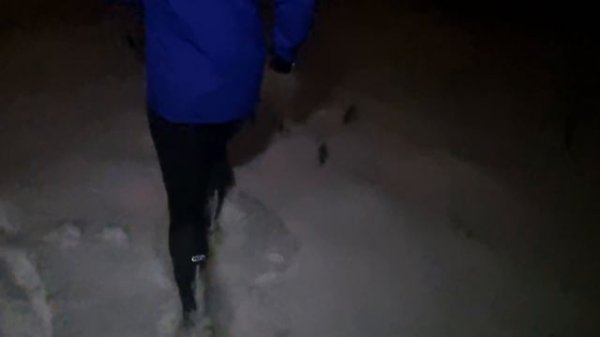 Трейл 2024-12. Проверка экипировки. Тренировка перед "mad fox".