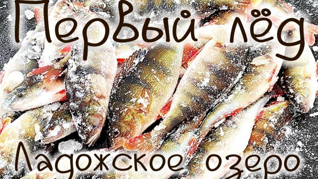 Первый лед Ладога зимняя рыбалка окунь щука смотреть онлайн