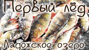 Первый лед Ладога зимняя рыбалка окунь щука