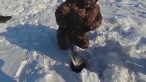 Зимняя рыбалка 8.12.2024 Проверка подпусков на верхогляда.