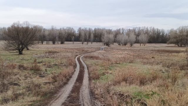 Infinix HOT 50 Pro+ - 1080p 60 к/с без стабилизации