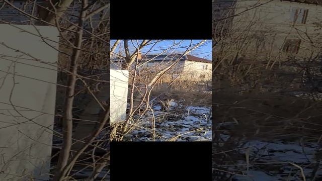 VID20241207130139 смотреть онлайн