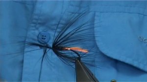 Tying the Rotenon Fly (Variant) Salmon Fly with Davie McPhail...