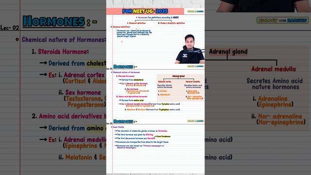 Hormones Class 11 | NEET 2025 #neet #biologylecture #neet_biology #neet2025 смотреть онлайн