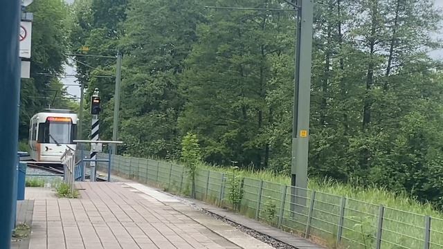 moBiel GTZ8-B (Vamos) 5030 / Linie 4 Lohmannshof смотреть онлайн