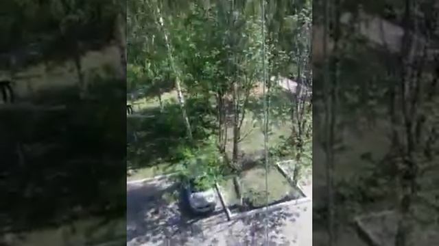 утро в Клину смотреть онлайн