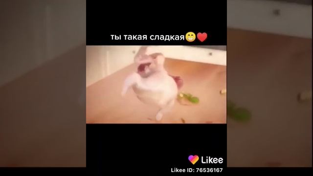 Ты такая сладкая! КУРИЦА🐓