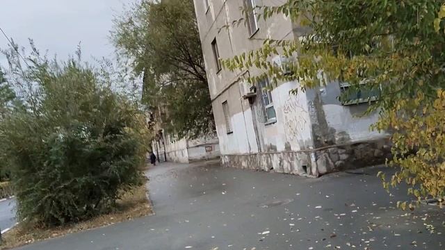 Золотая осень/ Утро/ Прогулка