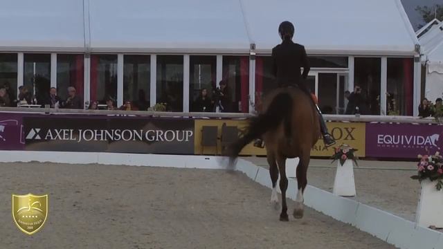 WDM Vidauban #19 in CDI 5* Nürnberger GP Ester Soldi & Harmonia смотреть онлайн