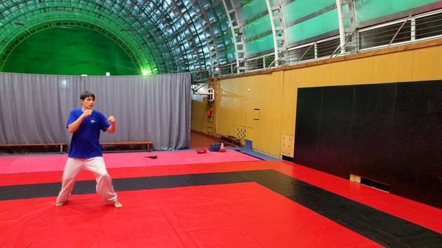 тренировка 01.12.24 тхэквондо итф Сухарев Прохор смотреть онлайн