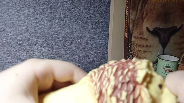 1000001060.mp4 смотреть онлайн