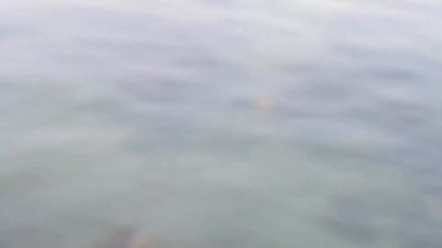 НА ВОЛЯ II смотреть онлайн