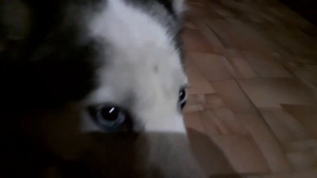 ПЕСНЯ----Tes---без слов на гитаре)()()( ИГРАЛ САМ!!!)()()( смотреть онлайн