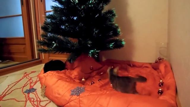 Светодиодные оптоволоконные елки смотреть онлайн