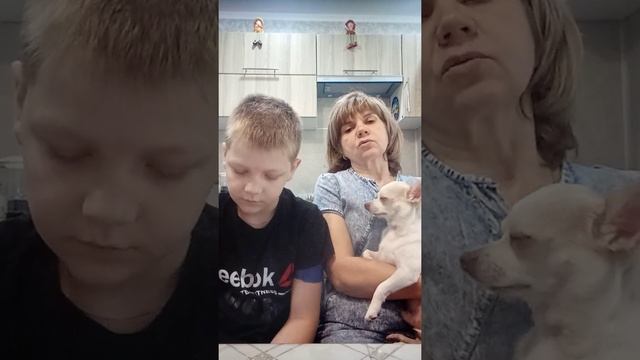 готовим тирамису, очень вкусное! смотреть онлайн