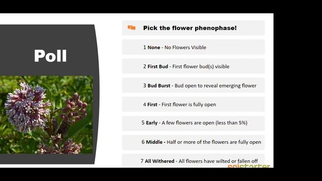 SciStarter LIVE #5: Teaching in Higher Education with Citizen Science & Budburst смотреть онлайн