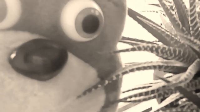 МММ...КАКОЙ КАКТУС...XD смотреть онлайн