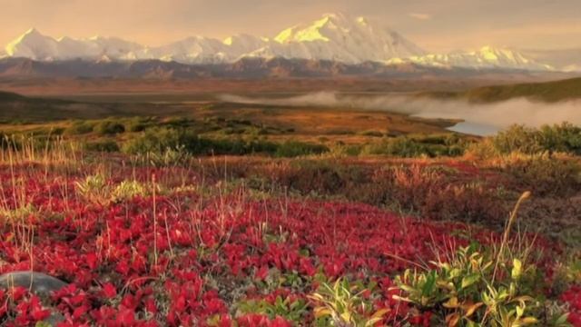 ДО СВИДАНИЯ, ЛЕТО - МОНТАЖ ТАТЬЯНЫ СИТНИКОВОЙ смотреть онлайн