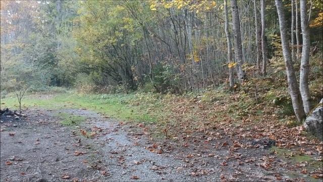 ЛЮБОВЬ и РАЗЛУКА. ОШО. смотреть онлайн