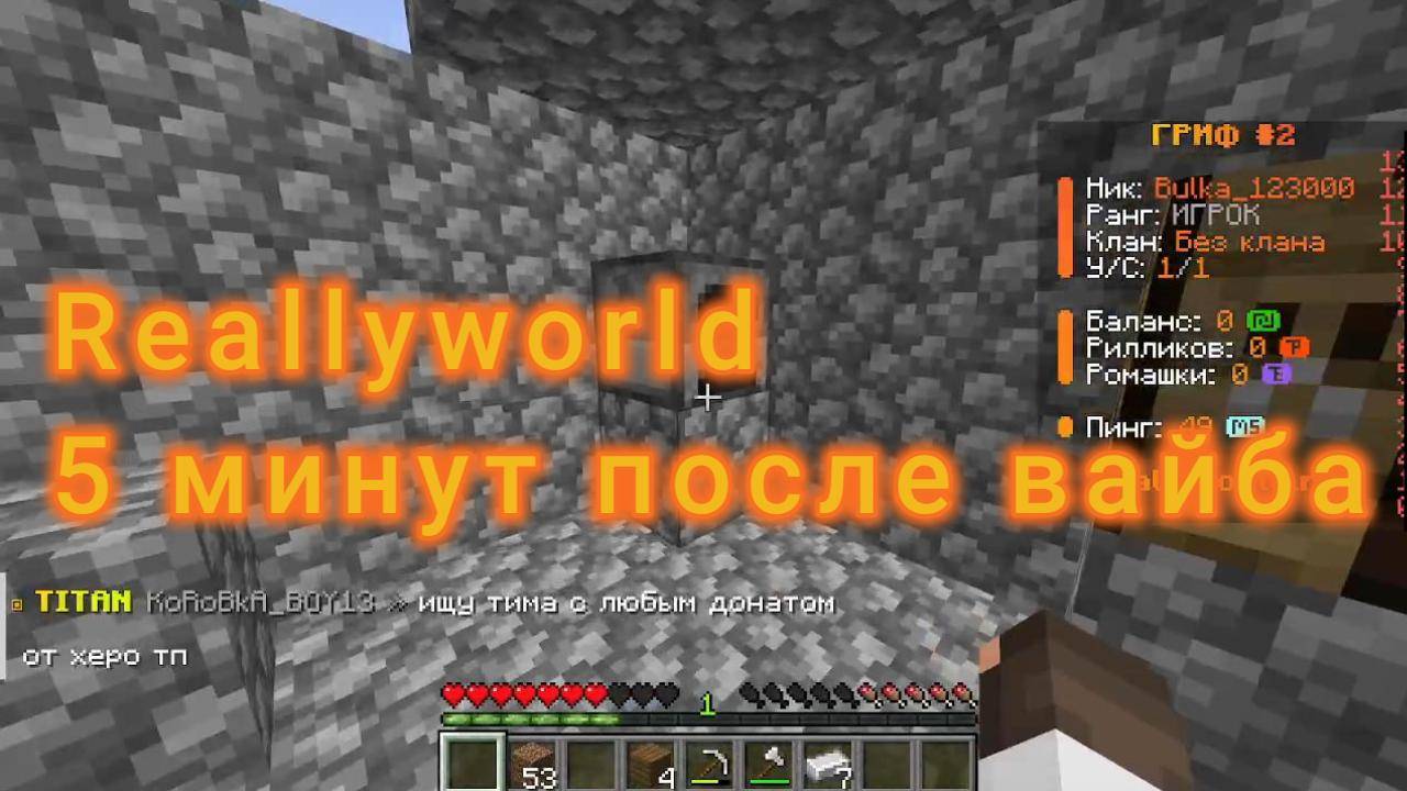 REALLYWORLD 5 минут после вайба