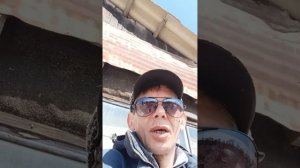 Пантерный Мухомор 3 кг доедаю что со мной?