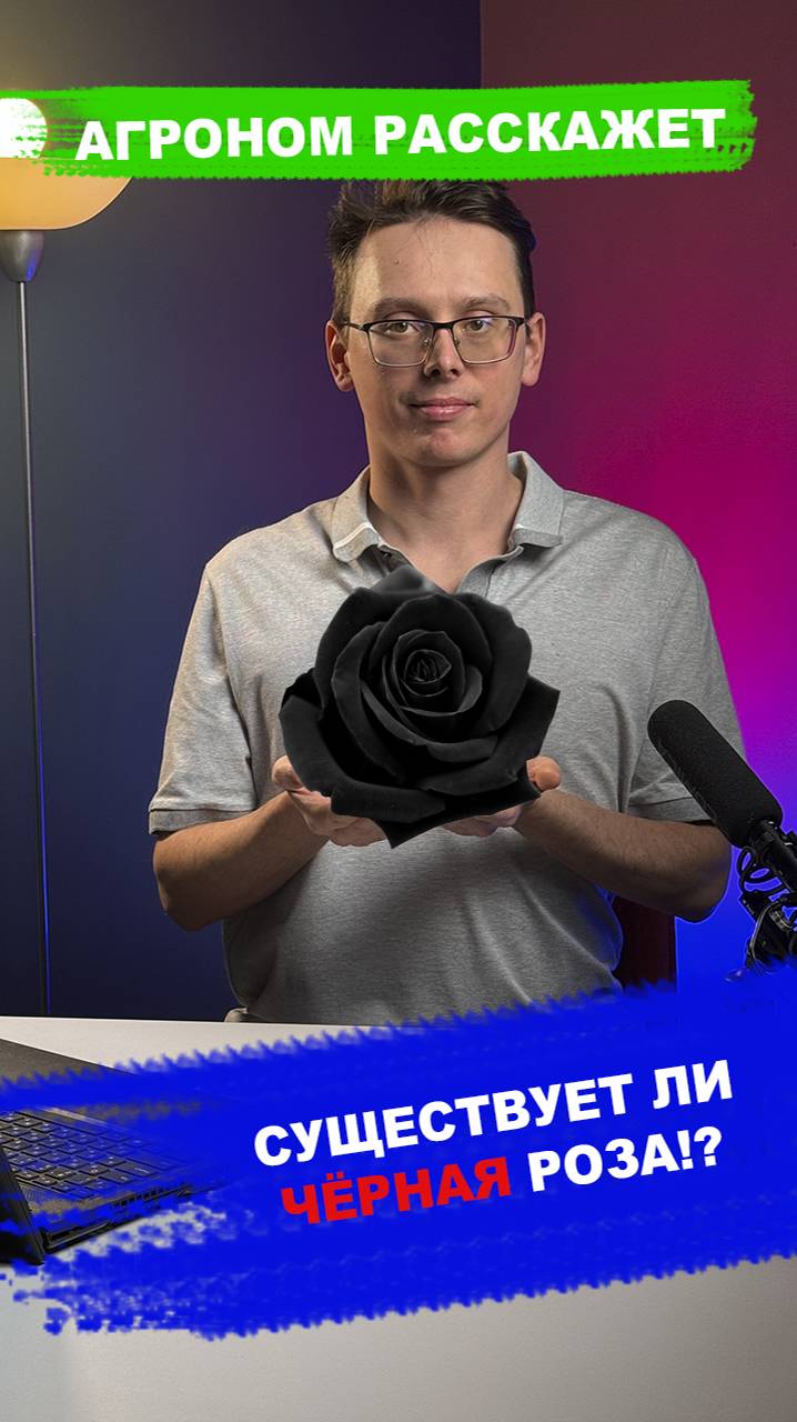 Существует ли ЧЁРНАЯ РОЗА?! смотреть онлайн