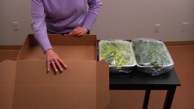 The Catering Box: How To Prepare Salad Trays Using The Catering Box