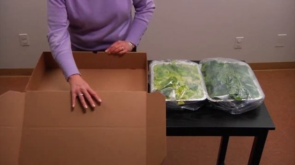 The Catering Box: How to Prepare Salad Trays Using the Catering Box