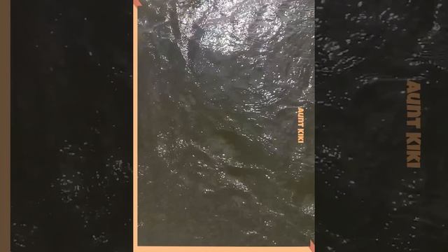 Корпорация Юмора - Веселые видеоролики смотреть онлайн