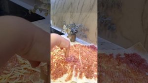Закуска из лаваша на мангале  | Лаваш с фаршем на мангале |