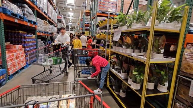 COSTCO Закупка продуктов в Костко