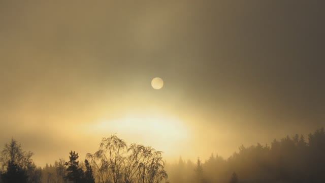 Карельский перешеек 2007. Ястребиное озеро. Большие скалы. Морозное утро. Ноябрь 2007г (слайд).mp4 смотреть онлайн