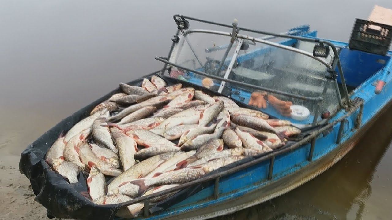 ★Суровая Рыбалка На Сплавную сеть / Добыча Сплавной Сетью! смотреть онлайн