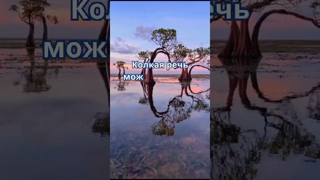 Не исцелима словесная рана