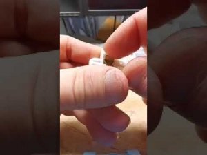 правильные розетки,  с пружинками