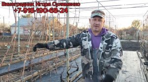 Обрезка винограда ч.2. Будет ли урожай?