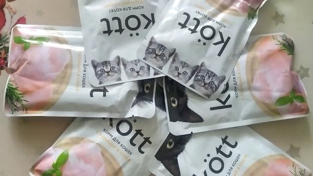 Рекомендации Заводчика кошек! Видеообзор линейки влажных кормов для кошек! 😺 смотреть онлайн