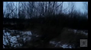 Охота на вальдшнепа