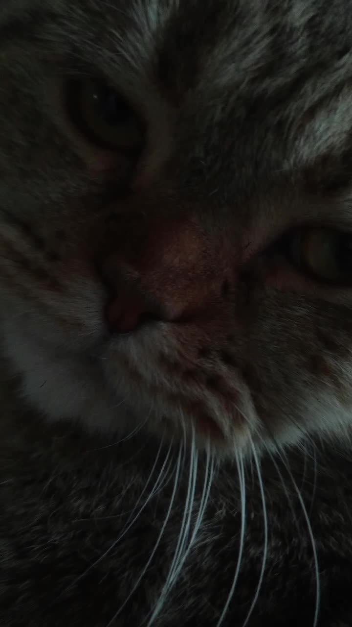 Я в деревне смотреть онлайн