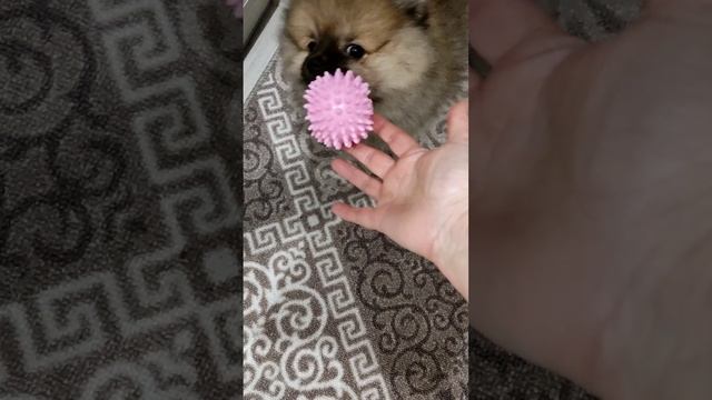 💖💖💖 смотреть онлайн