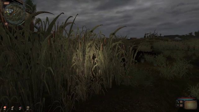 S T A L K E R Call of chernobyl жизнь на сухогрузе смотреть онлайн