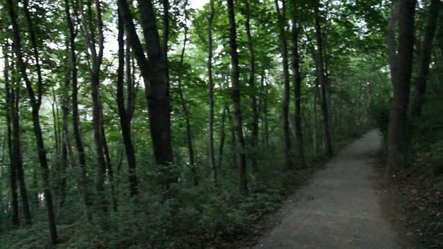 Кисловодск, вечерний парк, 16.06.2013 смотреть онлайн