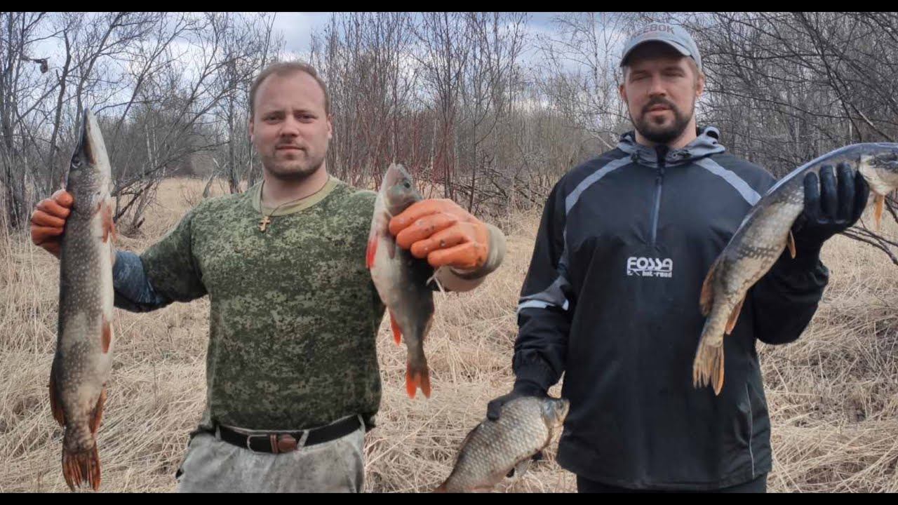 ⚡Часть 1: Удачное открытие рыбалки 2020, уха на березовом соке! смотреть онлайн