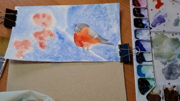 Рисуем снегиря акварелью.  Акварель для начинающих.