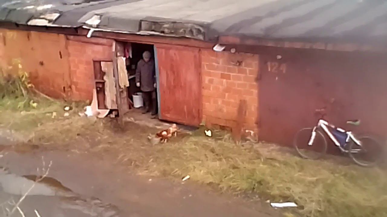 Куры в гараже 1 яйцо в сутки 3 курочки у него VID 20171018 133238 смотреть онлайн