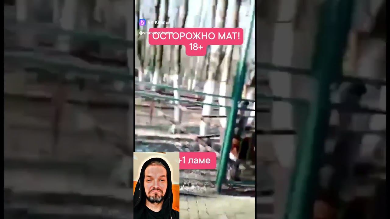 Лама плюётся в мужика смотреть онлайн